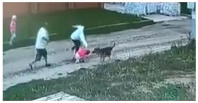 В Татарстане овчарка неожиданно набросилась на девочку