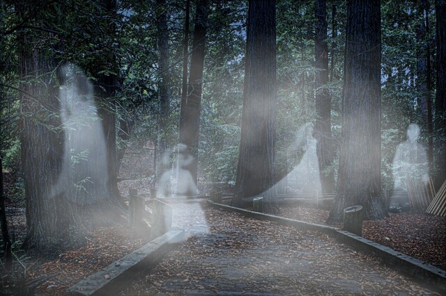 Фотоснимки с призраками: Подделки или реальность. Смотрите сами