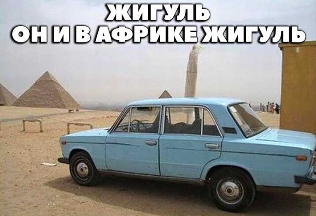 Смешные и познавательные картинки
