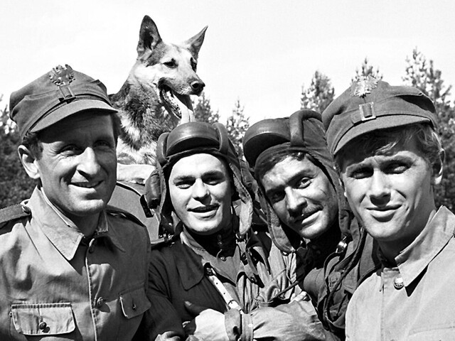 Что стало с псом Шариком из польского телефильма «Четыре танкиста и собака»