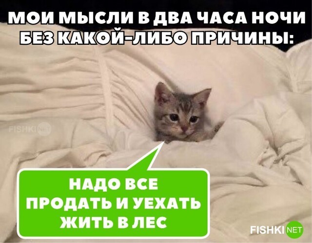 С добрым утром на позитиве