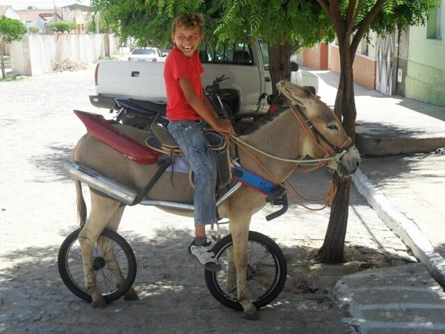 Фотоподборка