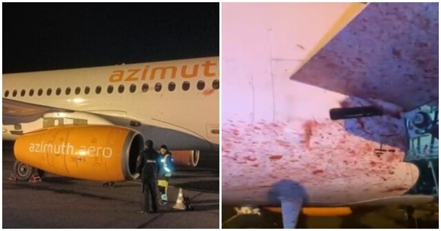 Сотрудники аэропорта показали последствия столкновения пассажирского самолета с косулей