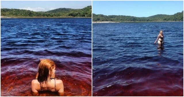 Озеро кока-колы, на которое съезжаются туристы со всего мира