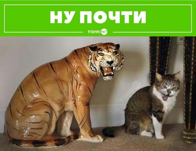 С утра пораньше на позитиве. Хорошего Всем вторника!