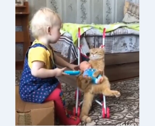 Сентименти: маленькая девочка и рыжий-рыжий кот