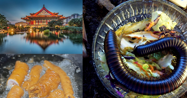 Салат из сороконожки и толстая кишка гуся: небольшой экскурс по странным китайским блюдам