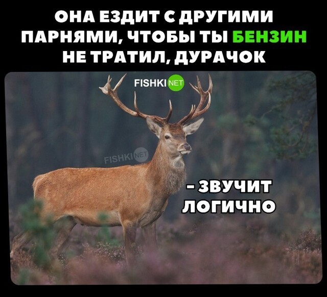 Скрины из соцсетей