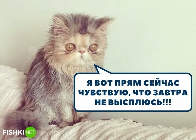 Скрины из соцсетей