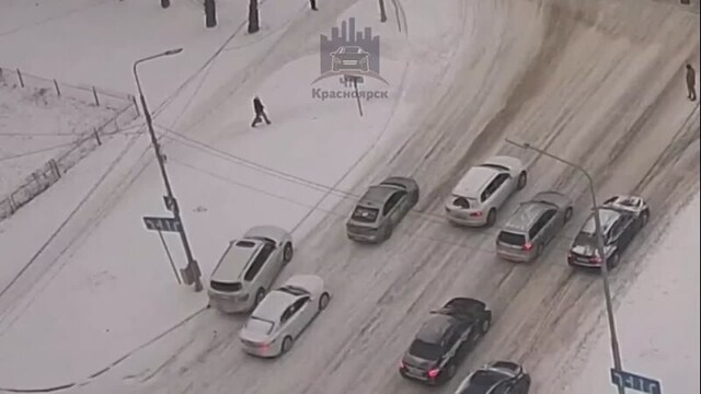 Лесной алень в городской среде