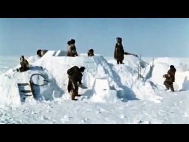 Иглу - зимнее жилье эскимосов