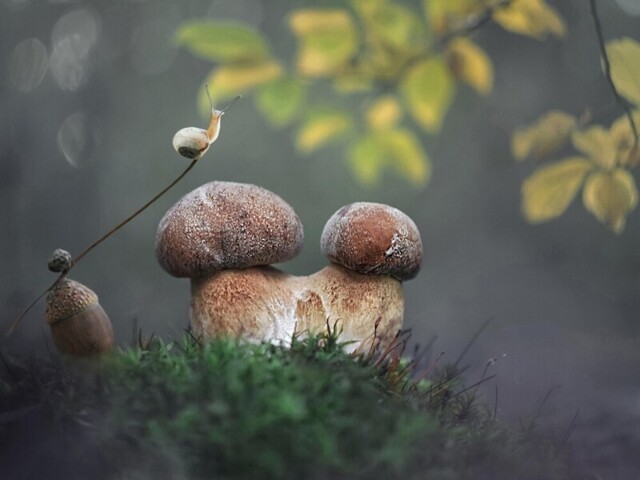 Фотоподборка