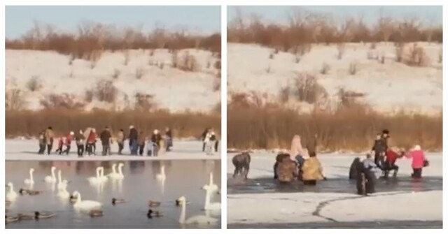 Группа туристов провалилась под лед на озере в Алтайском крае