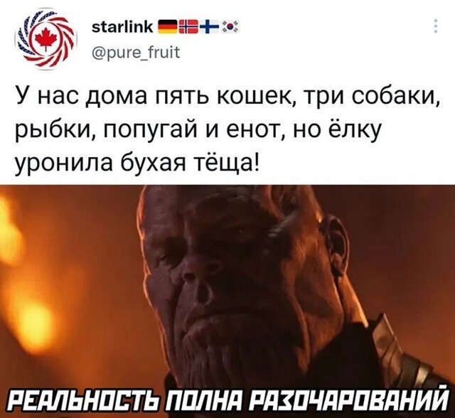 Смешные и познавательные картинки