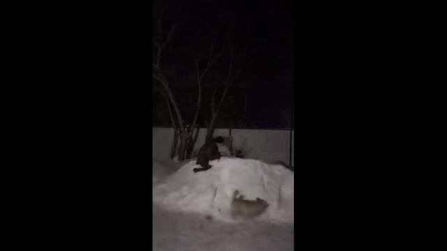 Барсик показал салют