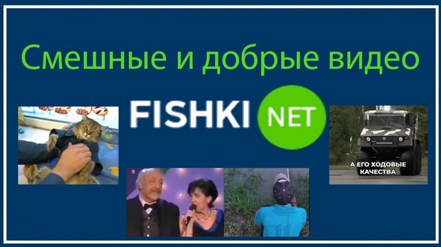 Смешные и&nbsp;добрые видео