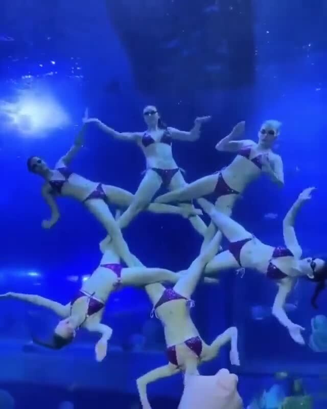 Смешные и добрые видео