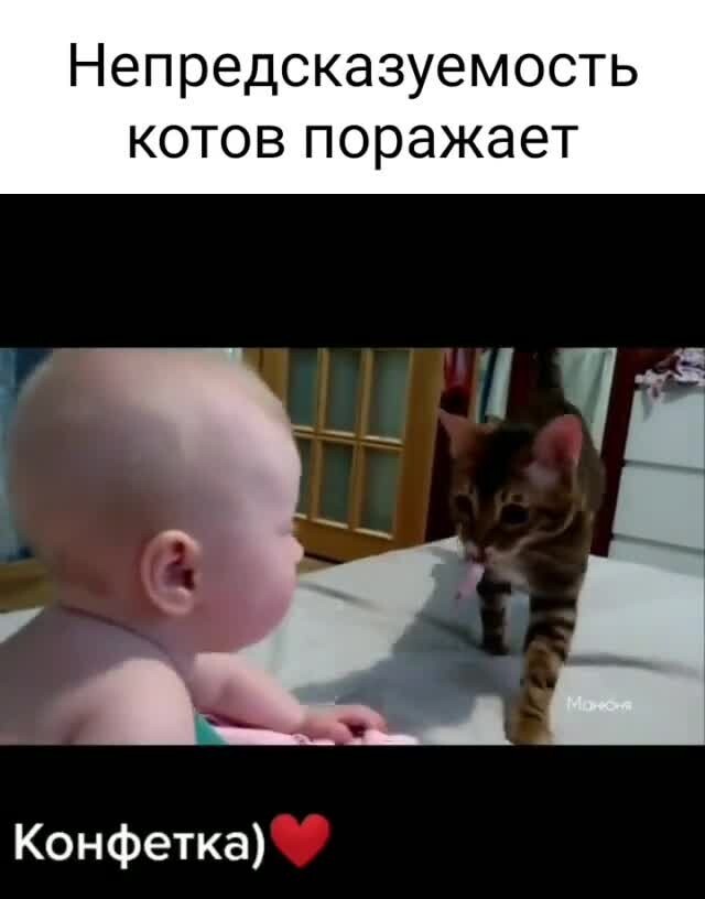 Смешные и добрые видео