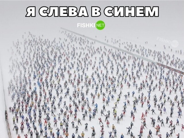 Смешные и познавательные картинки