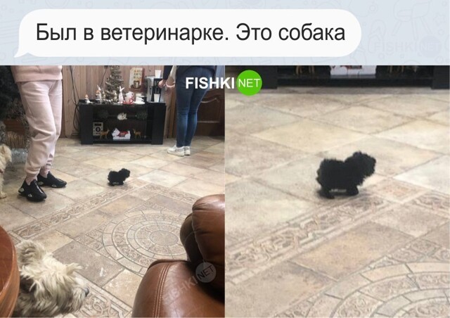 Смешные и познавательные картинки