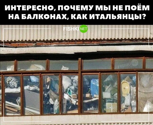 Смешные и познавательные картинки