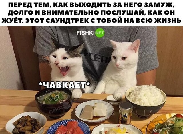 Смешные и познавательные картинки