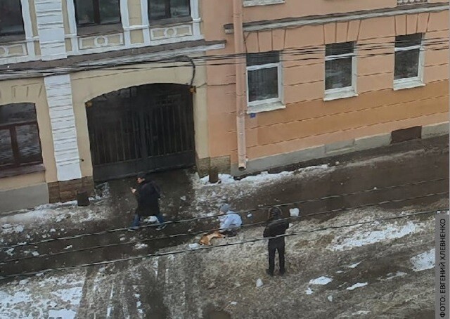 В Петербурге из-за халатности коммунальных служб гибнут животные