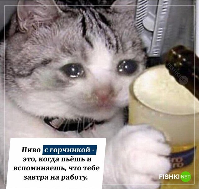 Скрины из соцсетей