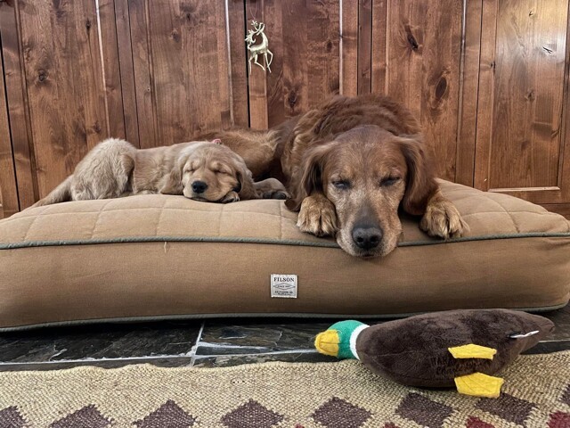 С добрым утром!