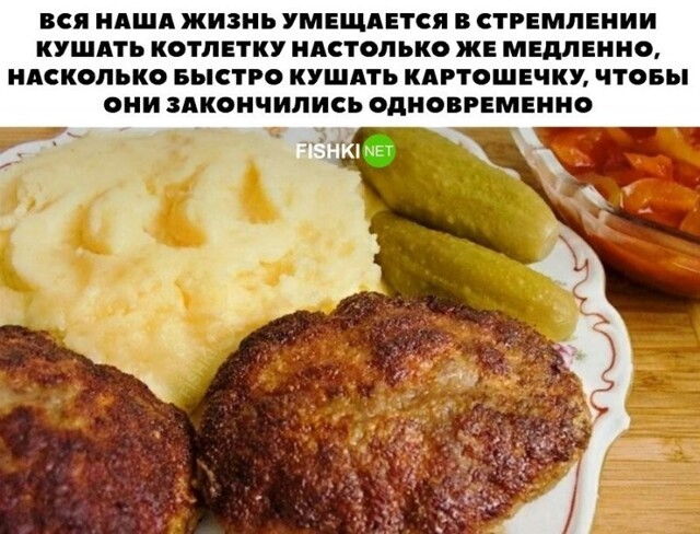 Смешные и познавательные картинки