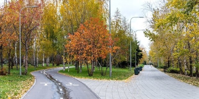 Почему Москва самый зеленый мегаполис мира и какие деревья тут сажают?