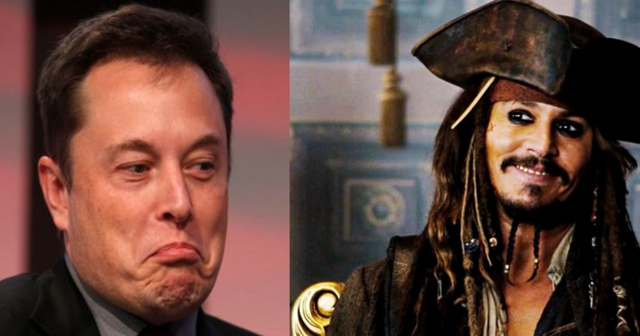 Илон Маск одобряет пиратский контент