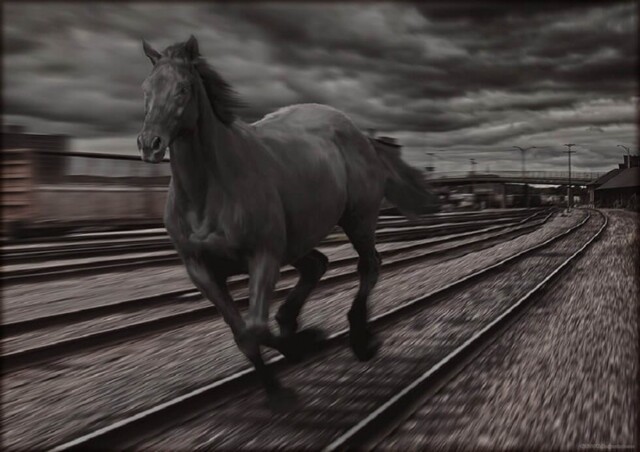 Лошадь, которая сбила поезд. Самая невероятная железнодорожная катастрофа в истории СССР