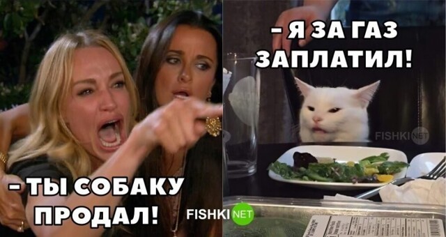 Смешные и познавательные картинки