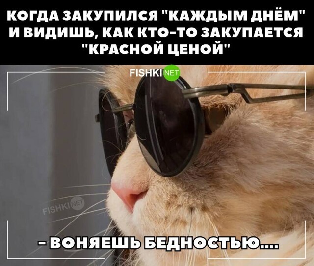 Смешные и познавательные картинки