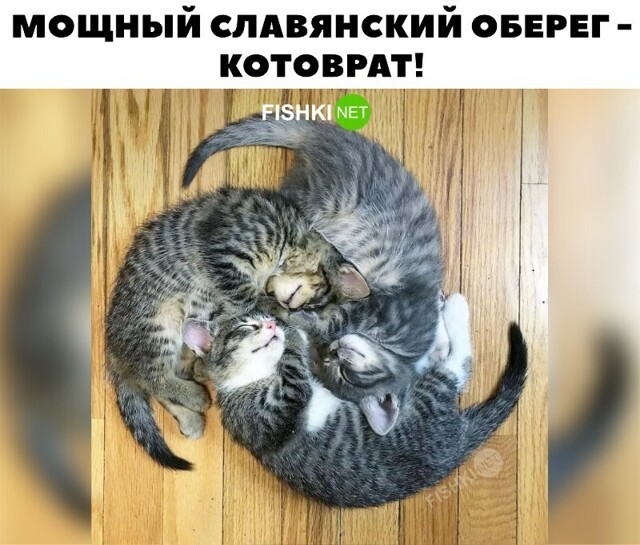 Скрины из соцсетей