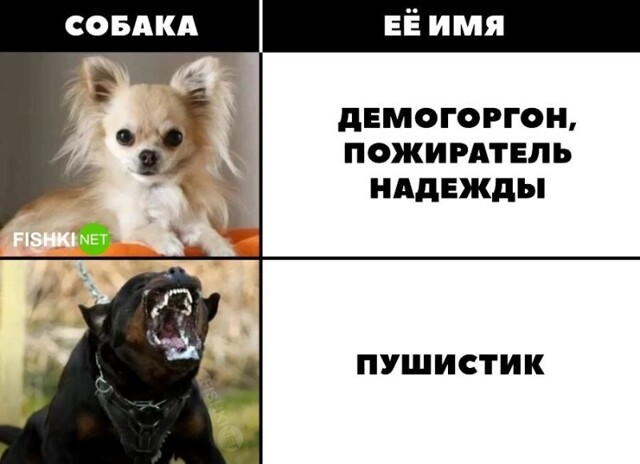 Скрины из соцсетей