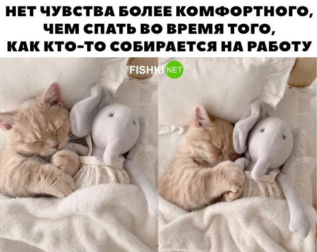Не ищите здесь смысл. Здесь в основном маразм