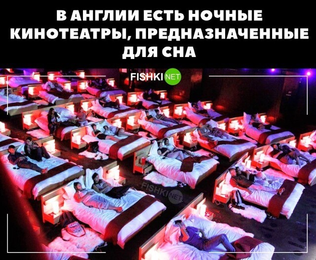 Смешные и познавательные картинки