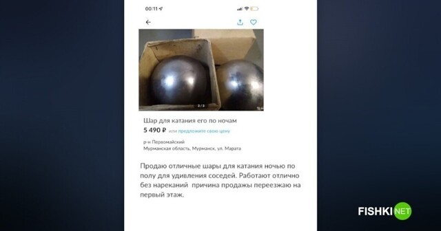 Злободневное: самое убойное из жизни соседей