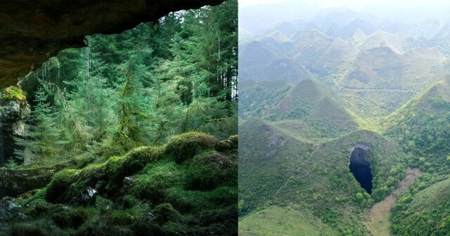Карстовая яма с первобытным лесом: реальность или выдумка