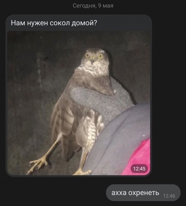 Скрины из соцсетей