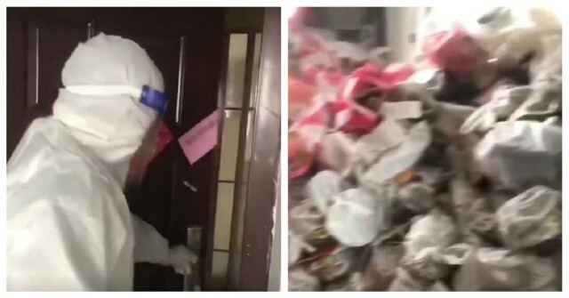 Девушка два года не выносила мусор из арендованной квартиры
