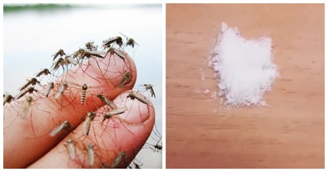 Как легко и быстро избавиться от комаров