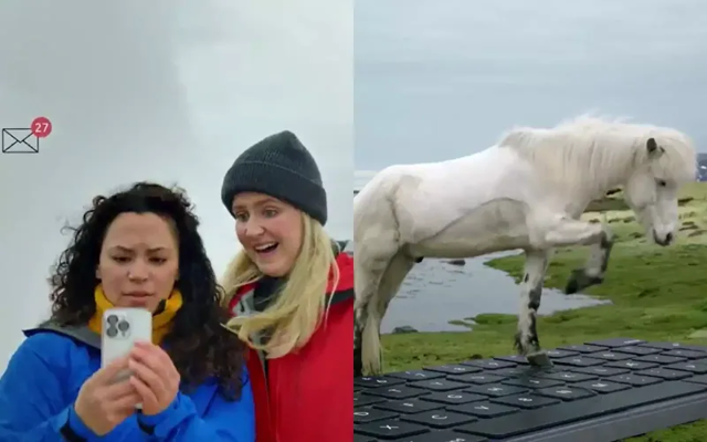 В Исландии появился сервис, позволяющим лошадям отвечать на письма людей
