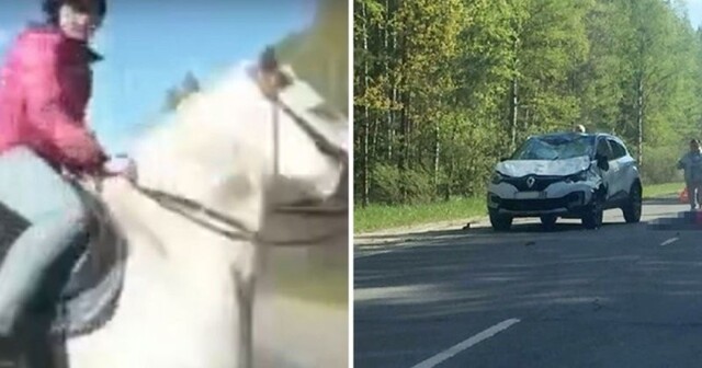 Страшное ДТП: во Владимирской области девочка на лошади попала под машину