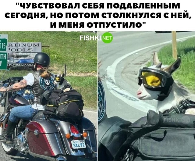 Не ищите здесь смысл. Здесь в основном маразм