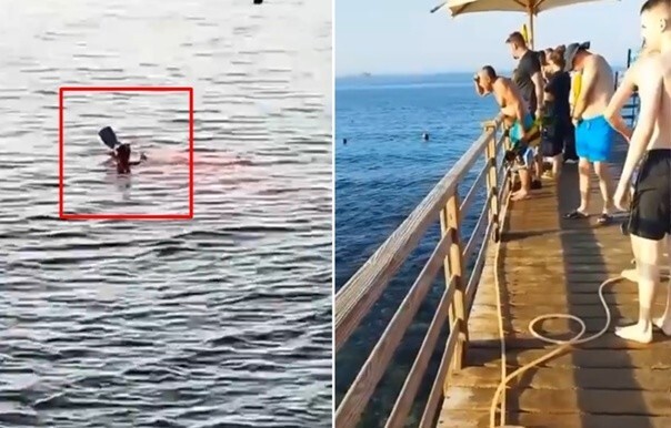 Акула укусила туристку в море на египетском курорте Хургада
