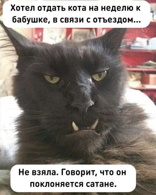 Маленько картинок