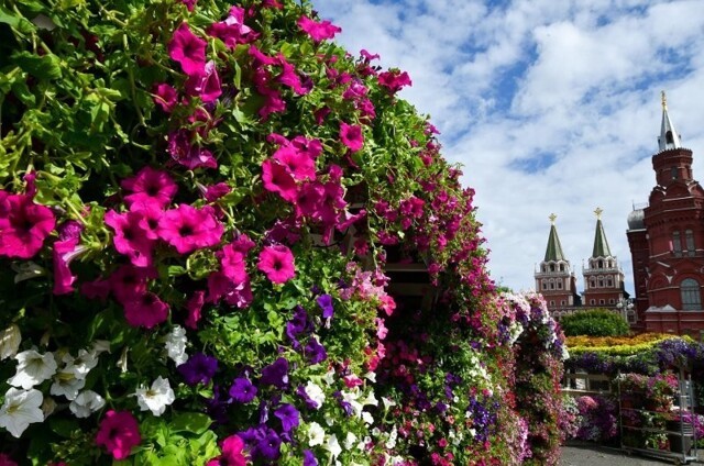 Цветочные арки, тропические острова, висячие и водные сады. В Москве начался фестиваль садового искусства